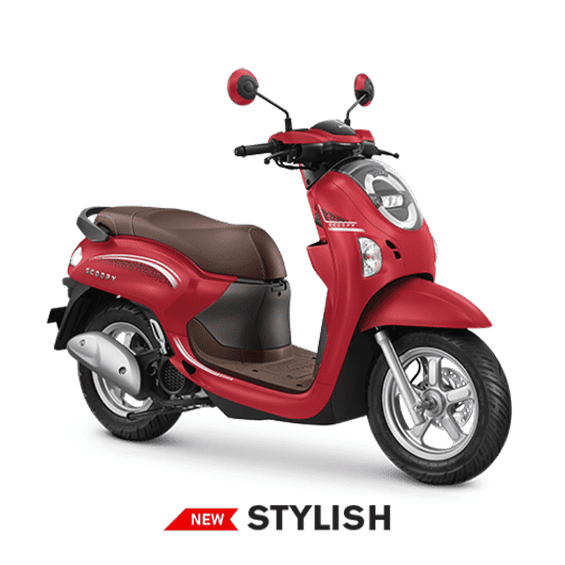 Scoopy Scoopy